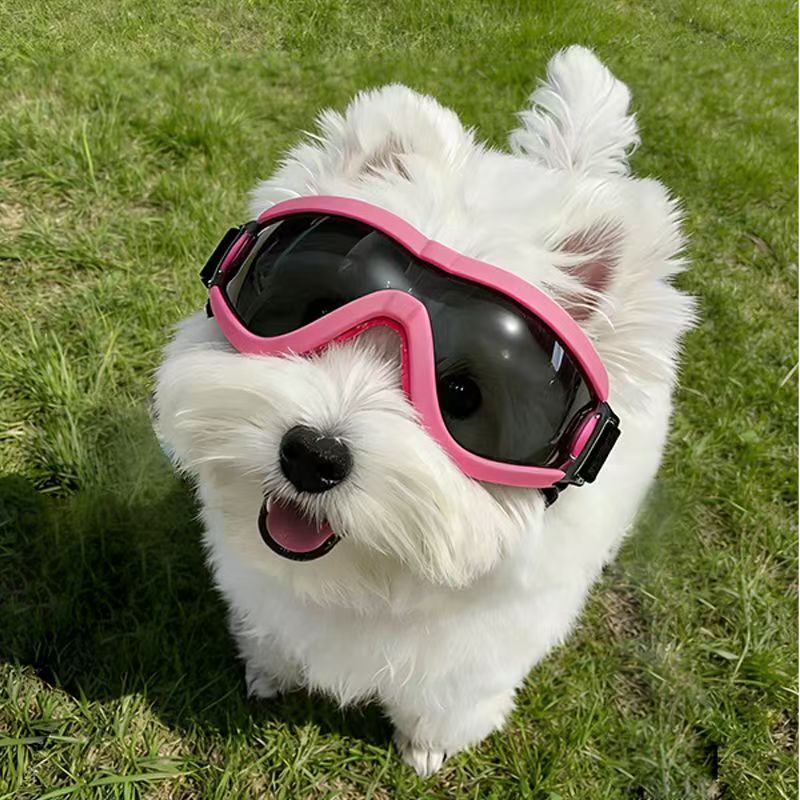 Dog Goggles for Small Medium D - Sunglass Retainer Cord ulasan dan harga